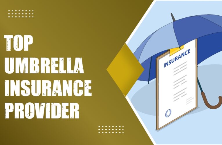 Safeguarding Beyond Limits: Exploring the Top Umbrella Insurance Provider in the USA